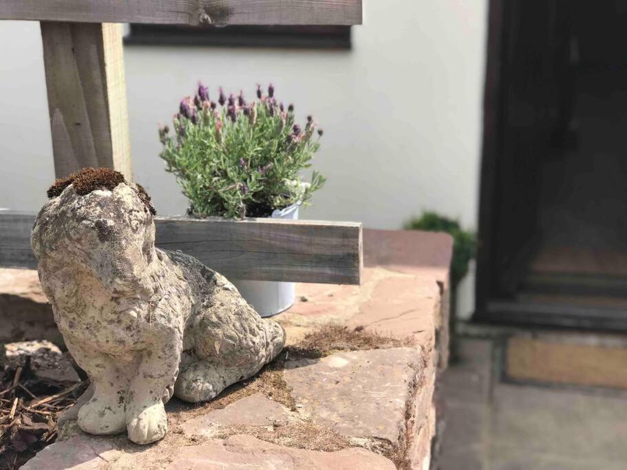 Bentra - Boutique At Harrys Holiday home Pen-y-Clawdd